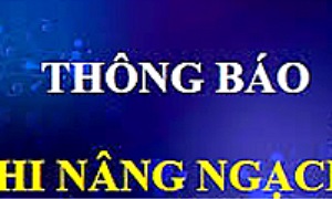Kế hoạch tổ chức thi nâng ngạch công chức cơ quan đảng, mặt trận Tổ quốc và các đoàn thể chính trị - xã hội năm 2016